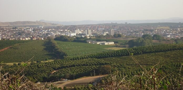 Vista de Três Pontas, com a cidade ao fundo e cafezais em primeiro plano